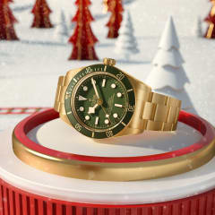 TUDOR Watch Official Website Swiss Luxury Watches since 1926